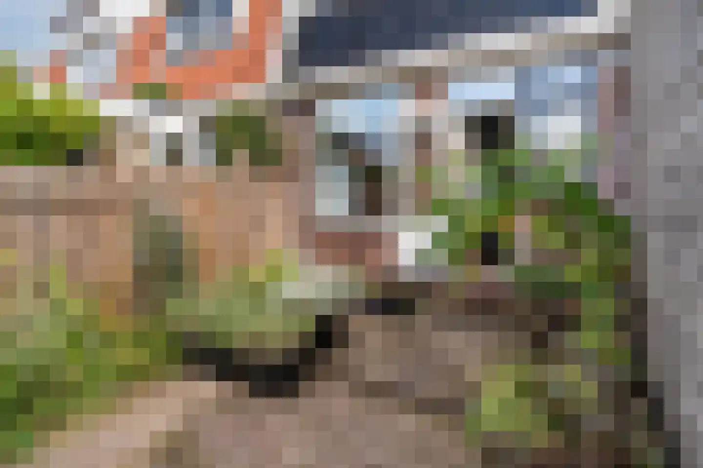 Pieter Latensteinstraat 19 Zaandam thumbnail 27
