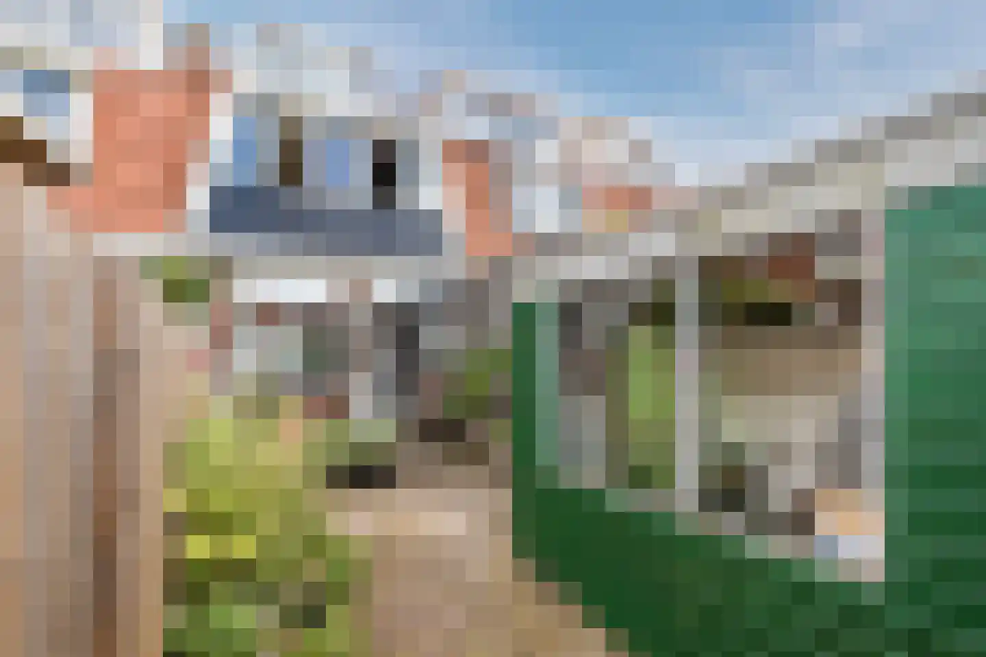 Pieter Latensteinstraat 19 Zaandam thumbnail 29