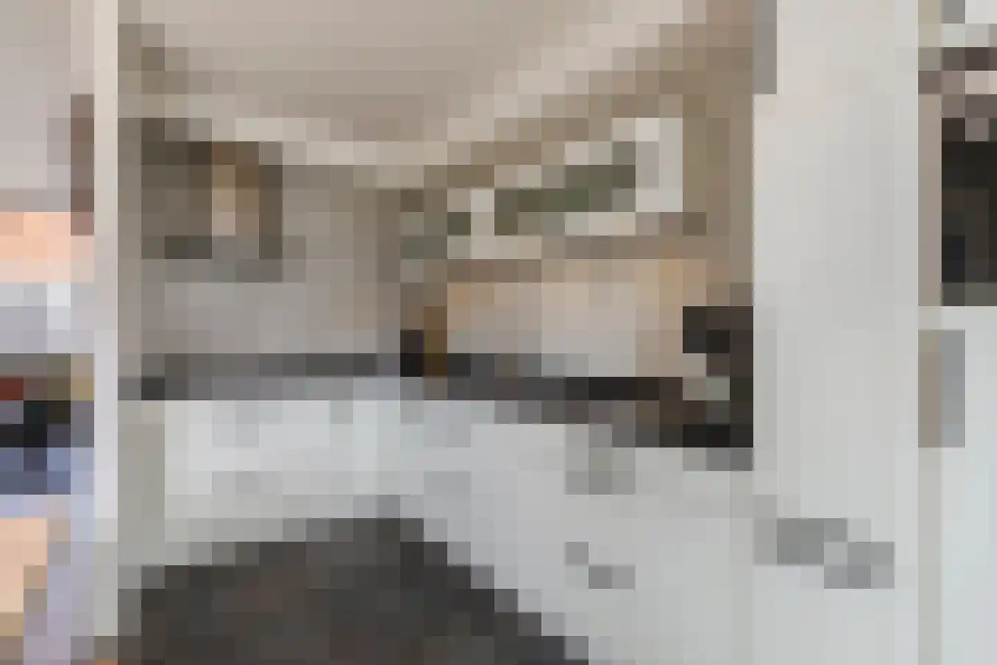 Pieter Latensteinstraat 34 Zaandam thumbnail 10
