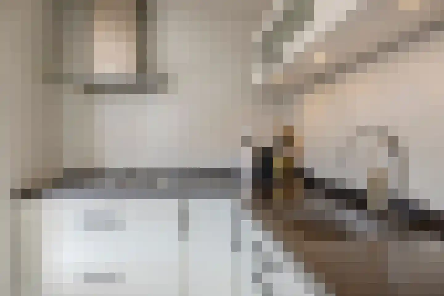Pieter Latensteinstraat 34 Zaandam thumbnail 11
