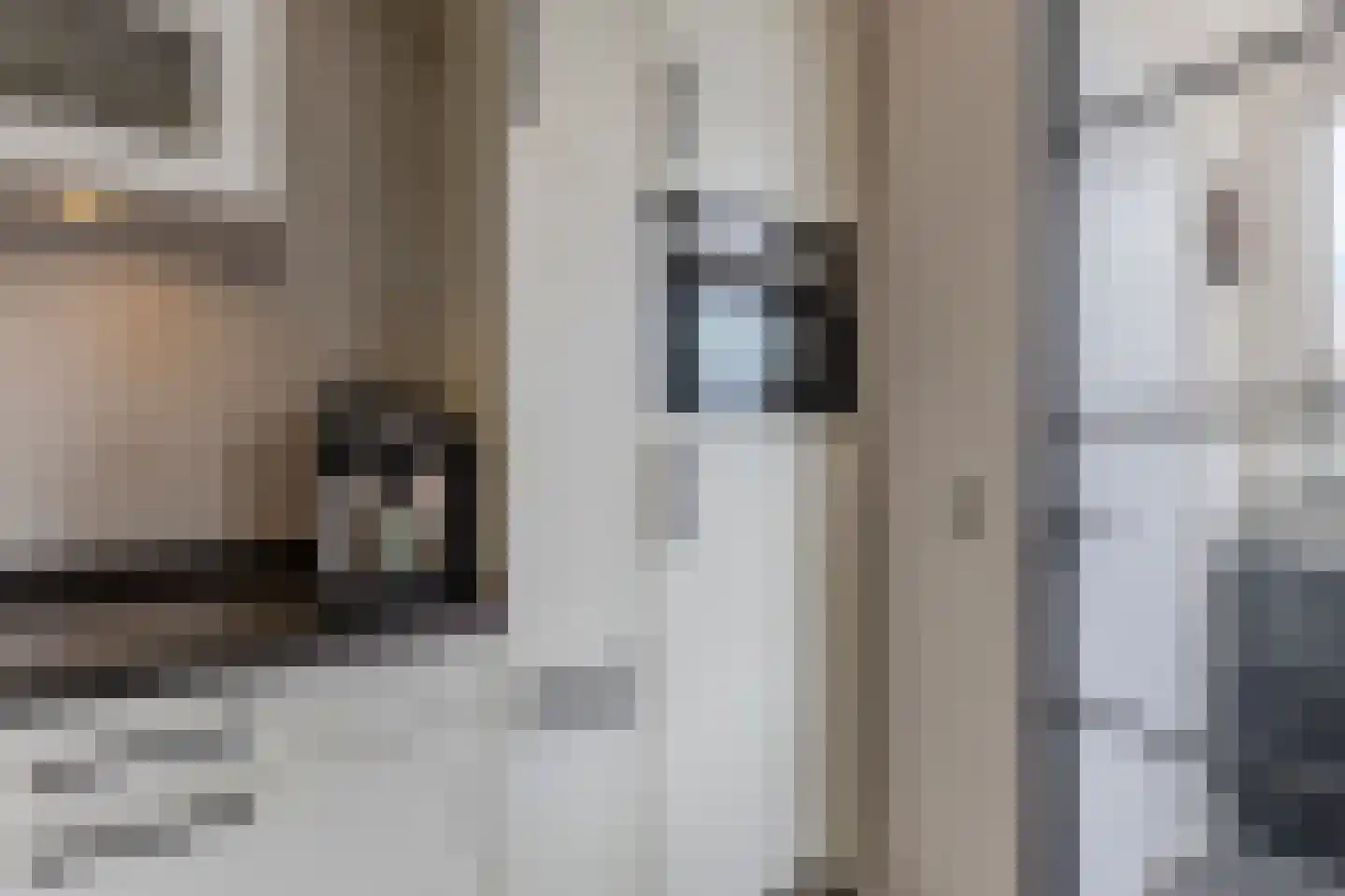 Pieter Latensteinstraat 34 Zaandam thumbnail 13