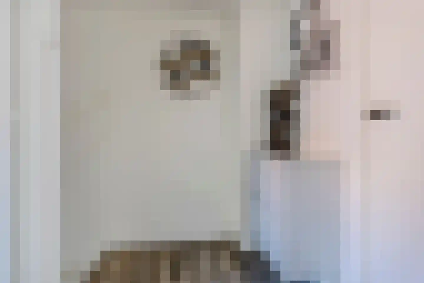 Pieter Latensteinstraat 34 Zaandam thumbnail 20