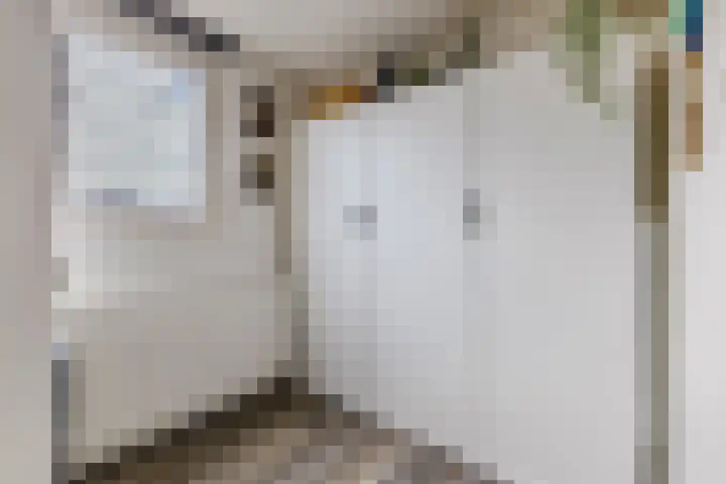 Pieter Latensteinstraat 34 Zaandam thumbnail 24