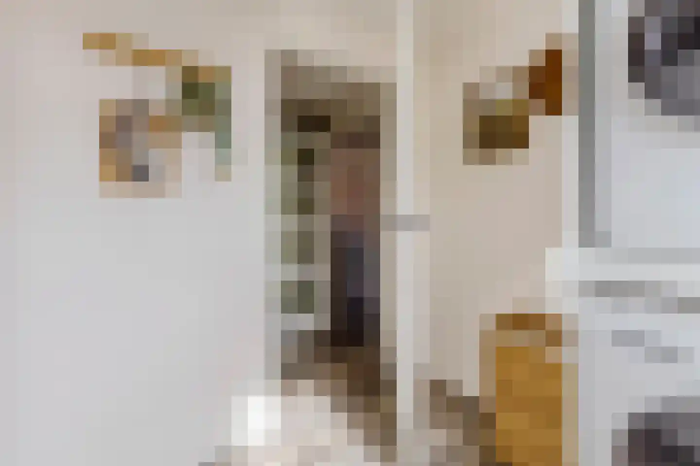 Pieter Latensteinstraat 34 Zaandam thumbnail 25