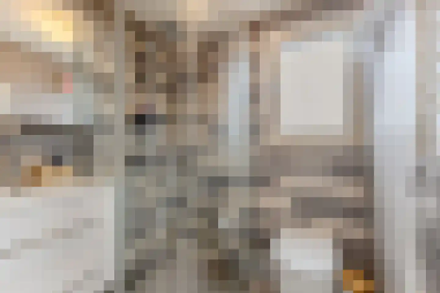 Pieter Latensteinstraat 34 Zaandam thumbnail 26