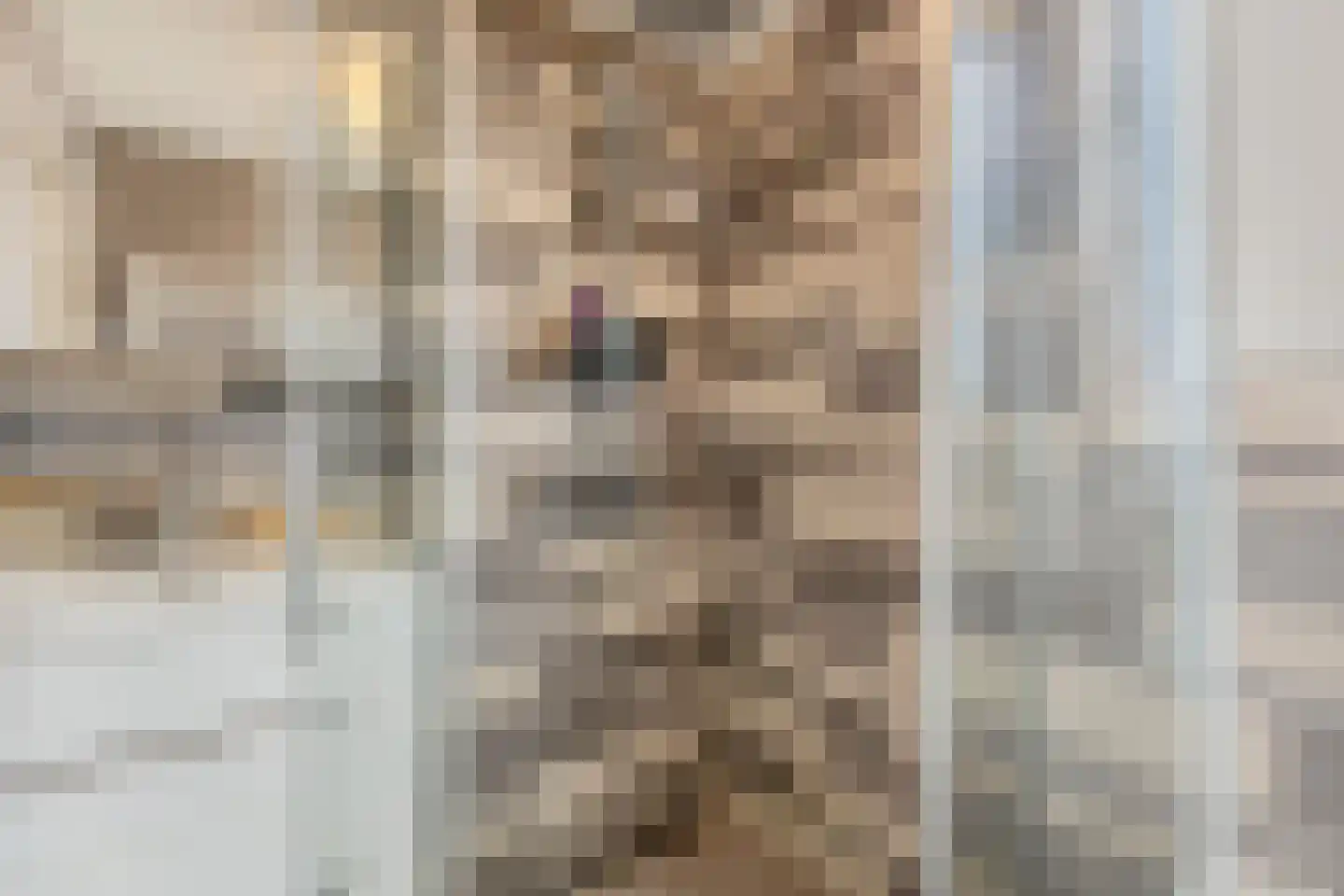 Pieter Latensteinstraat 34 Zaandam thumbnail 27