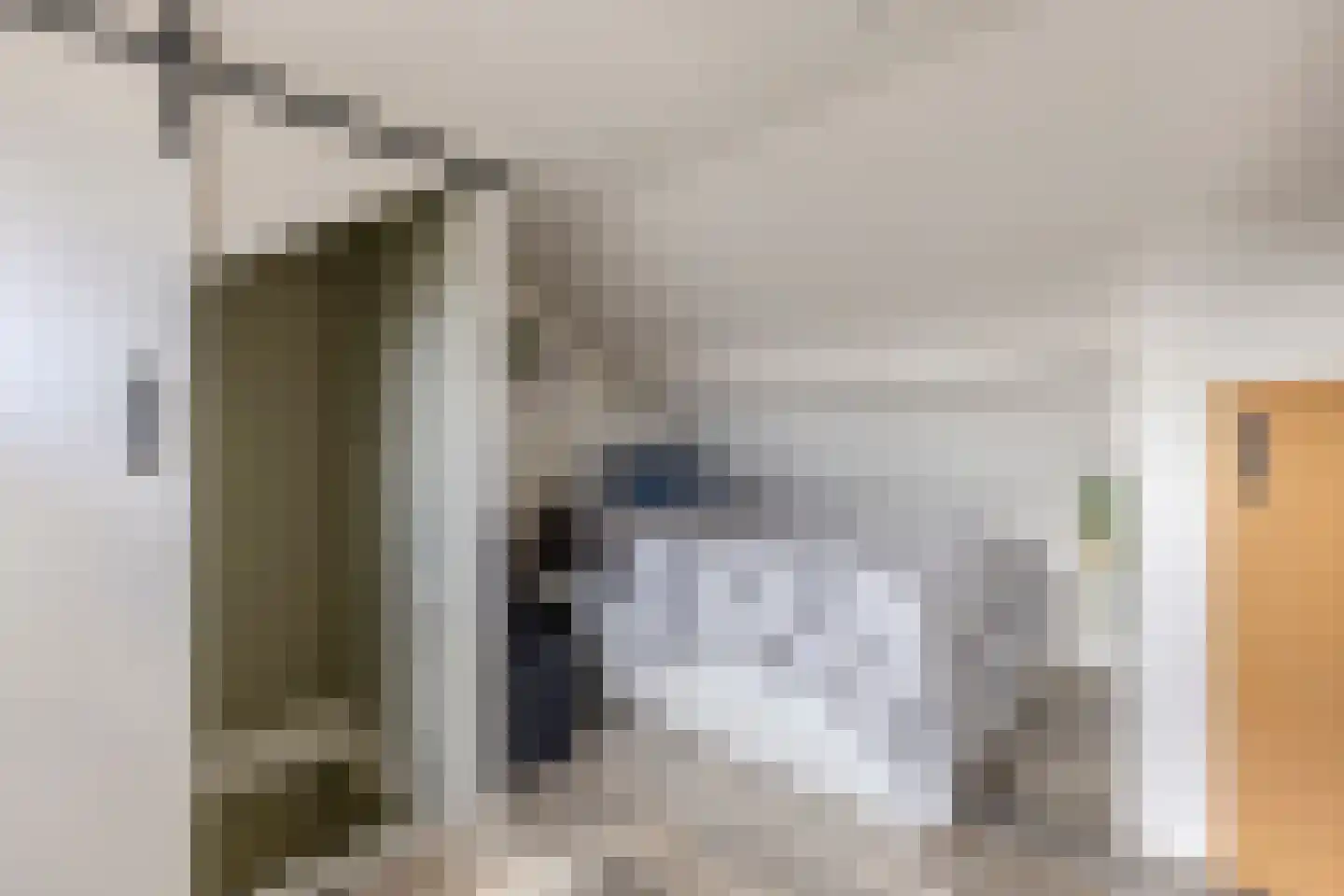 Pieter Latensteinstraat 34 Zaandam thumbnail 29