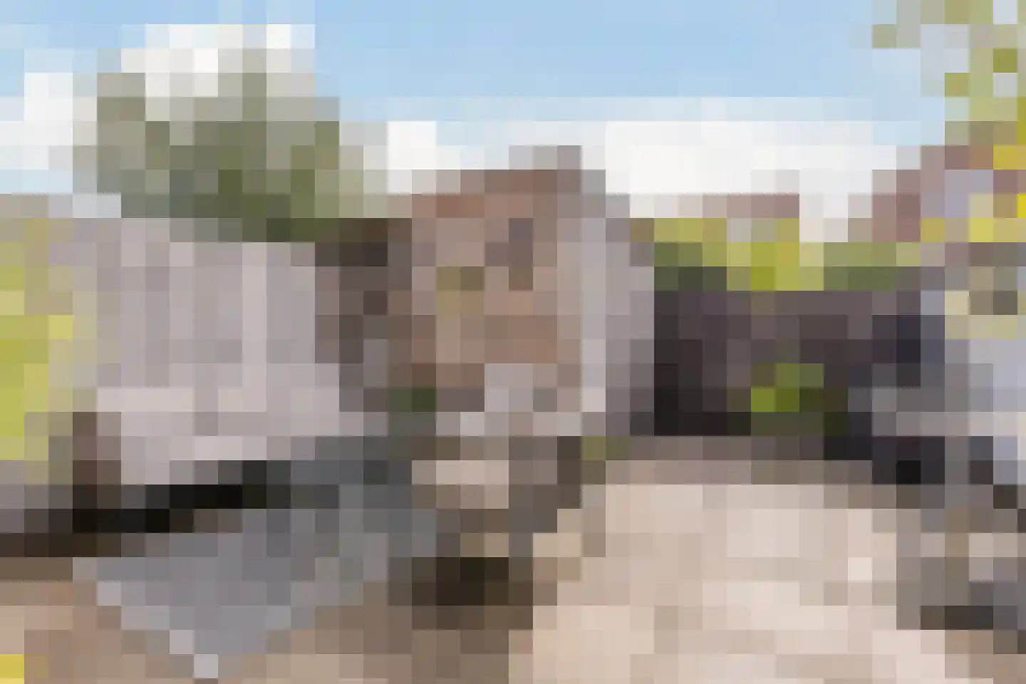 Pieter Latensteinstraat 34 Zaandam thumbnail 4