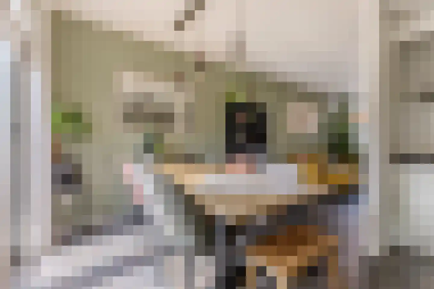 Pieter Latensteinstraat 34 Zaandam thumbnail 8