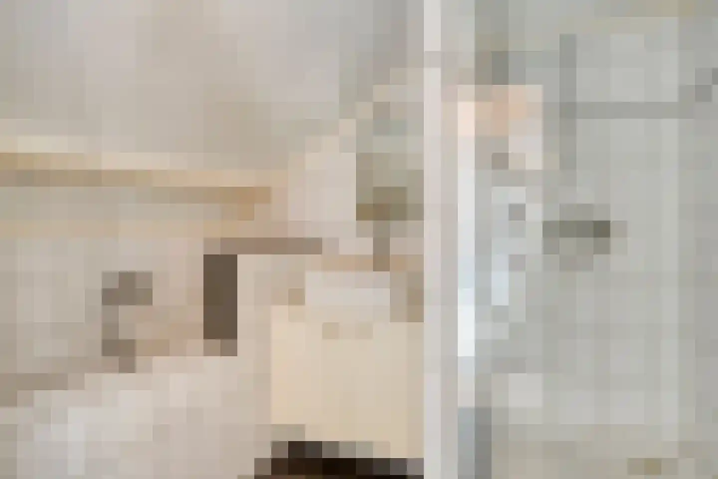 Pieter Latensteinstraat 35 Zaandam thumbnail 31