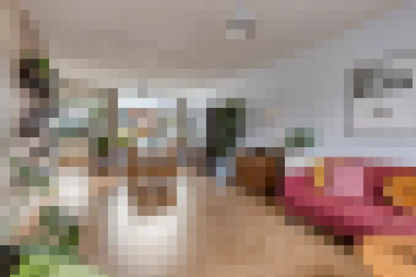 Pieter Latensteinstraat 38 Zaandam thumbnail 17