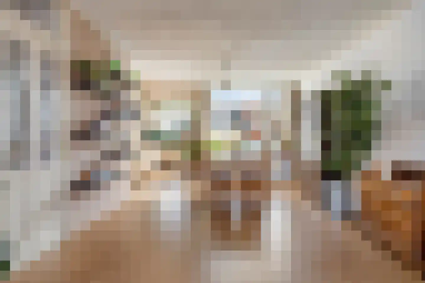 Pieter Latensteinstraat 38 Zaandam thumbnail 20