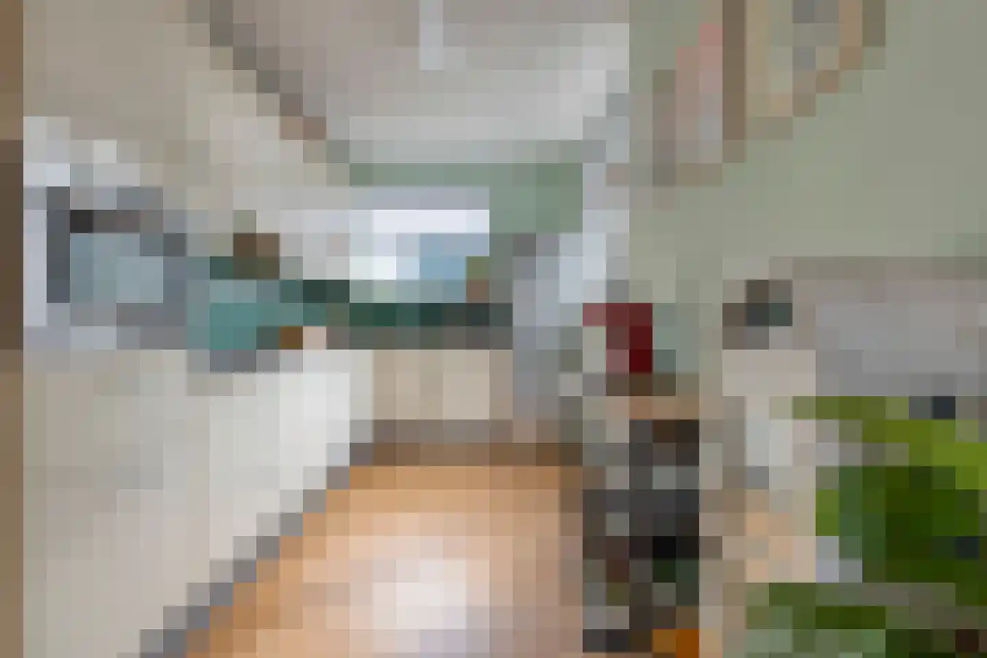 Pieter Latensteinstraat 38 Zaandam thumbnail 29