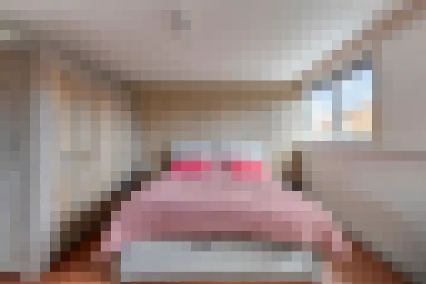 Pieter Latensteinstraat 38 Zaandam thumbnail 33