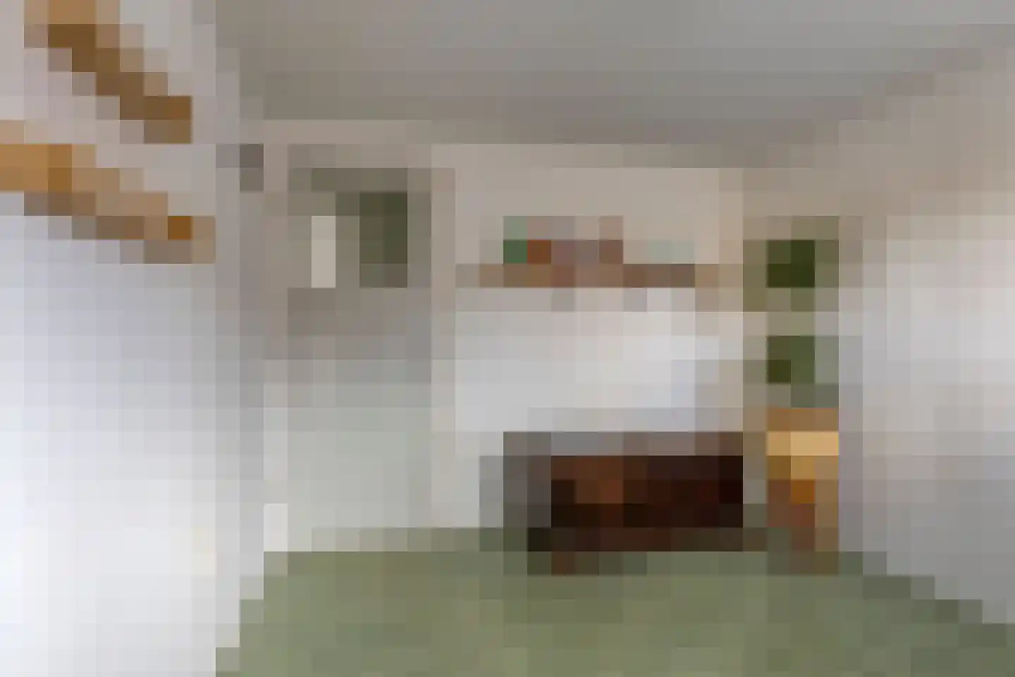 Pieter Latensteinstraat 38 Zaandam thumbnail 39