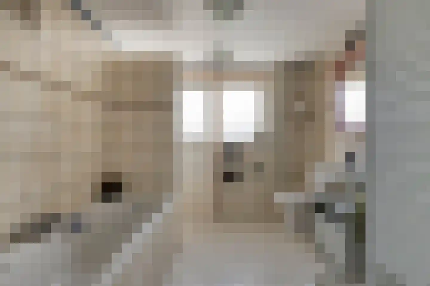 Pieter Latensteinstraat 38 Zaandam thumbnail 5