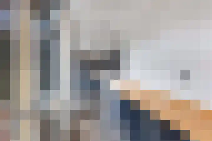 Pieter Latensteinstraat 70 Zaandam thumbnail 18