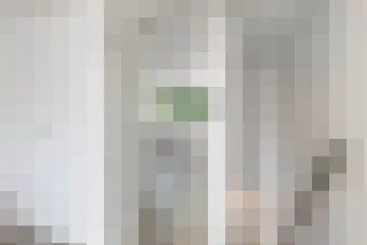 Pieter Latensteinstraat 70 Zaandam thumbnail 19