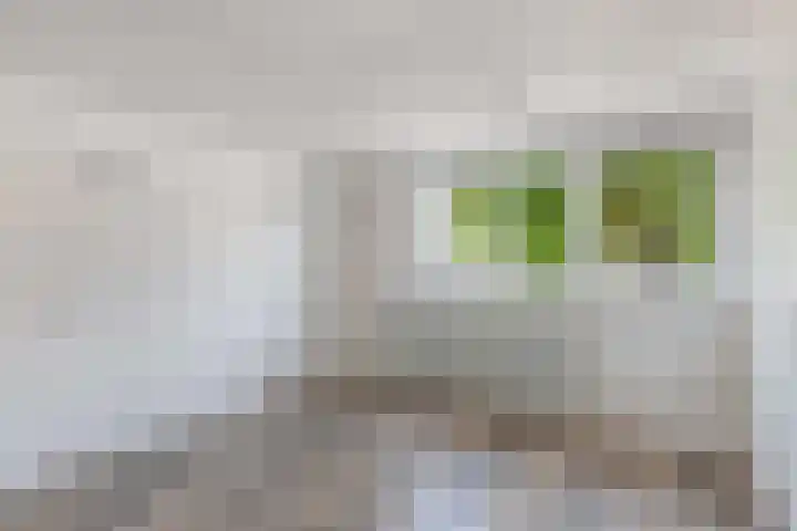 Pieter Latensteinstraat 70 Zaandam thumbnail 22