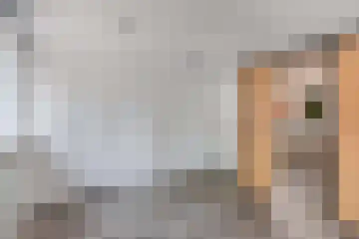 Pieter Latensteinstraat 70 Zaandam thumbnail 23