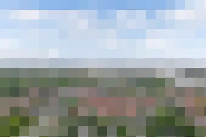 Pieter Latensteinstraat 70 Zaandam thumbnail 32
