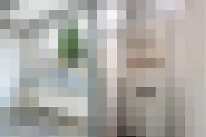 Pieter Latensteinstraat 70 Zaandam thumbnail 8