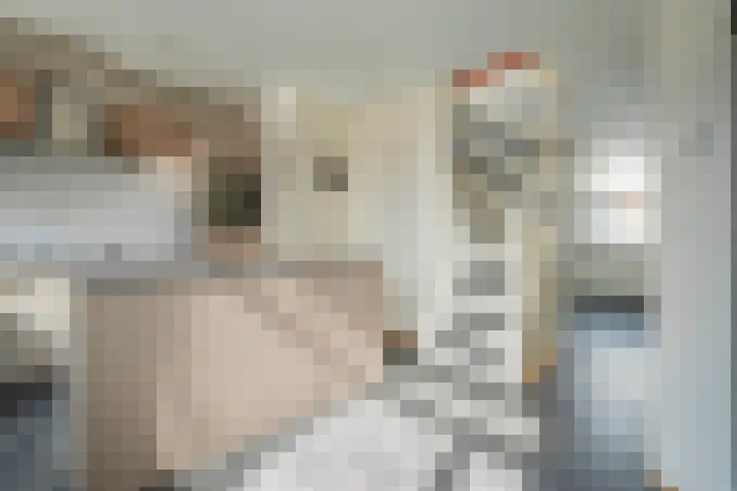 Pieter Latensteinstraat 74 Zaandam thumbnail 16