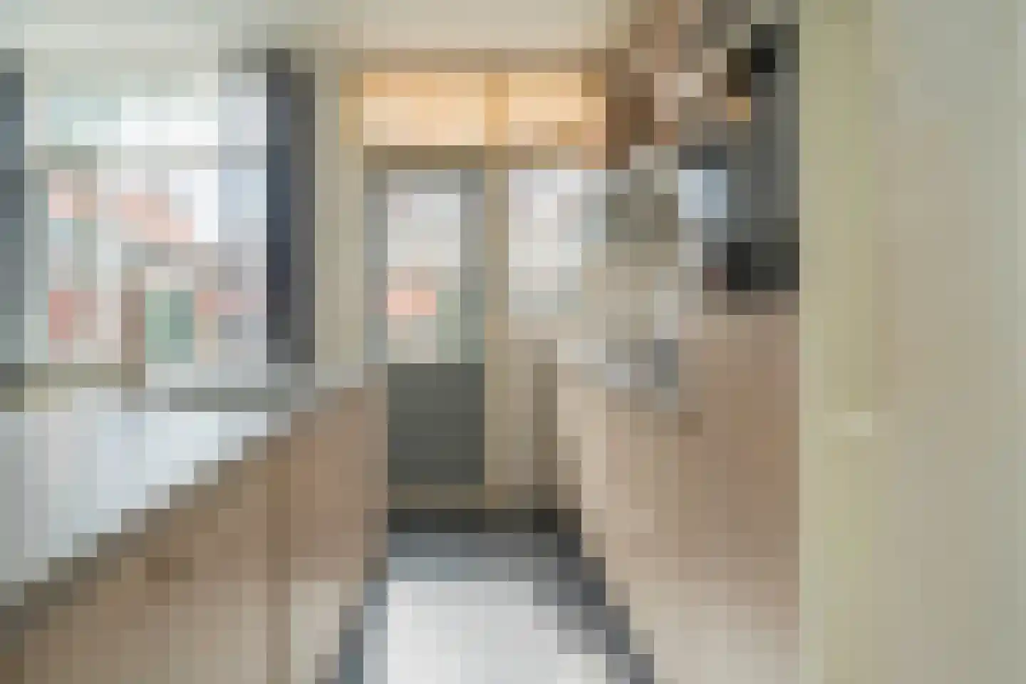 Pieter Latensteinstraat 74 Zaandam thumbnail 18