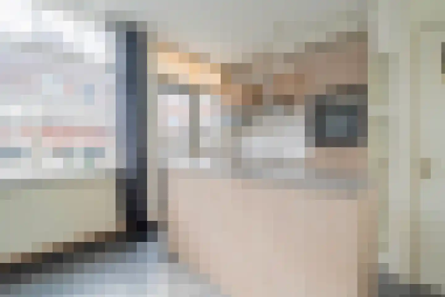 Pieter Latensteinstraat 74 Zaandam thumbnail 19