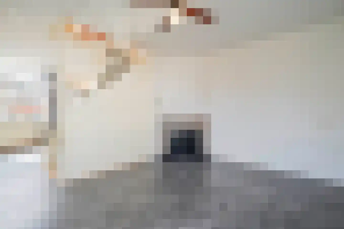 Pieter Latensteinstraat 74 Zaandam thumbnail 7