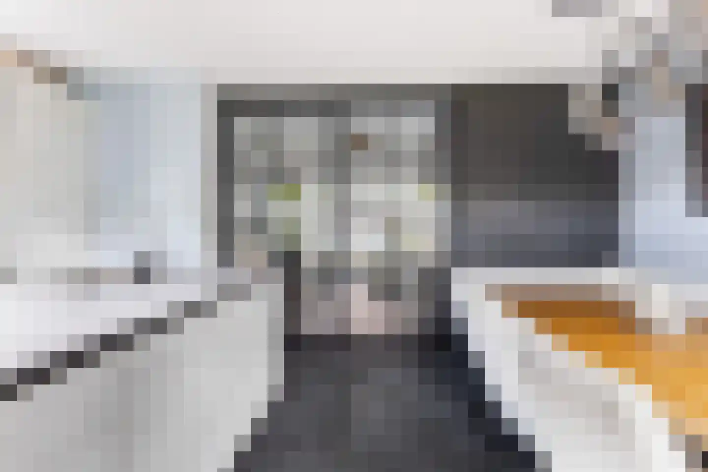 Pieter Lieftinckstraat 1 Woerden thumbnail 10