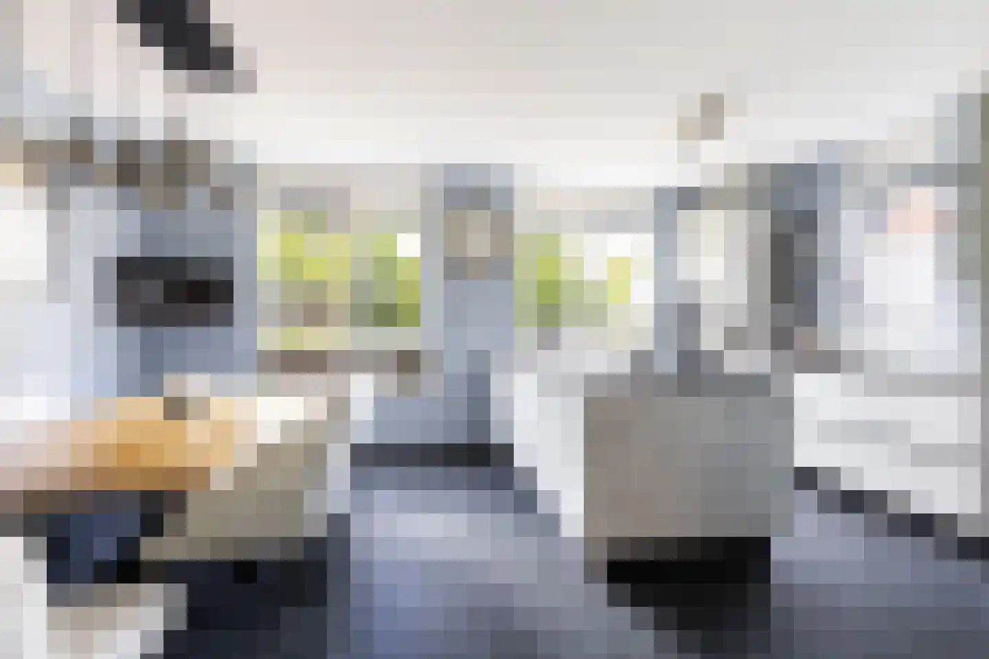 Pieter Lieftinckstraat 1 Woerden thumbnail 11