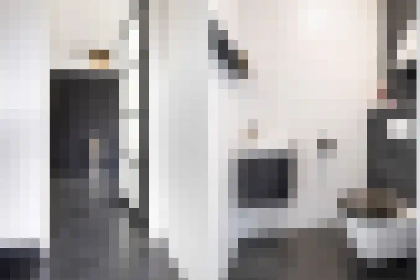 Pieter Lieftinckstraat 1 Woerden thumbnail 11