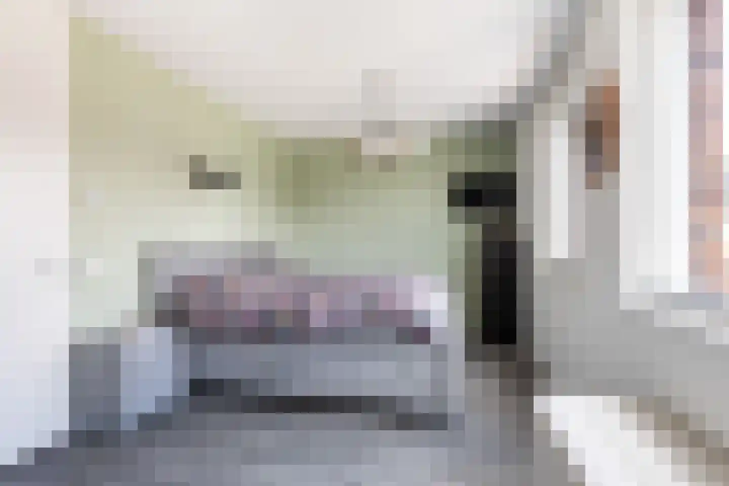 Pieter Lieftinckstraat 1 Woerden thumbnail 12