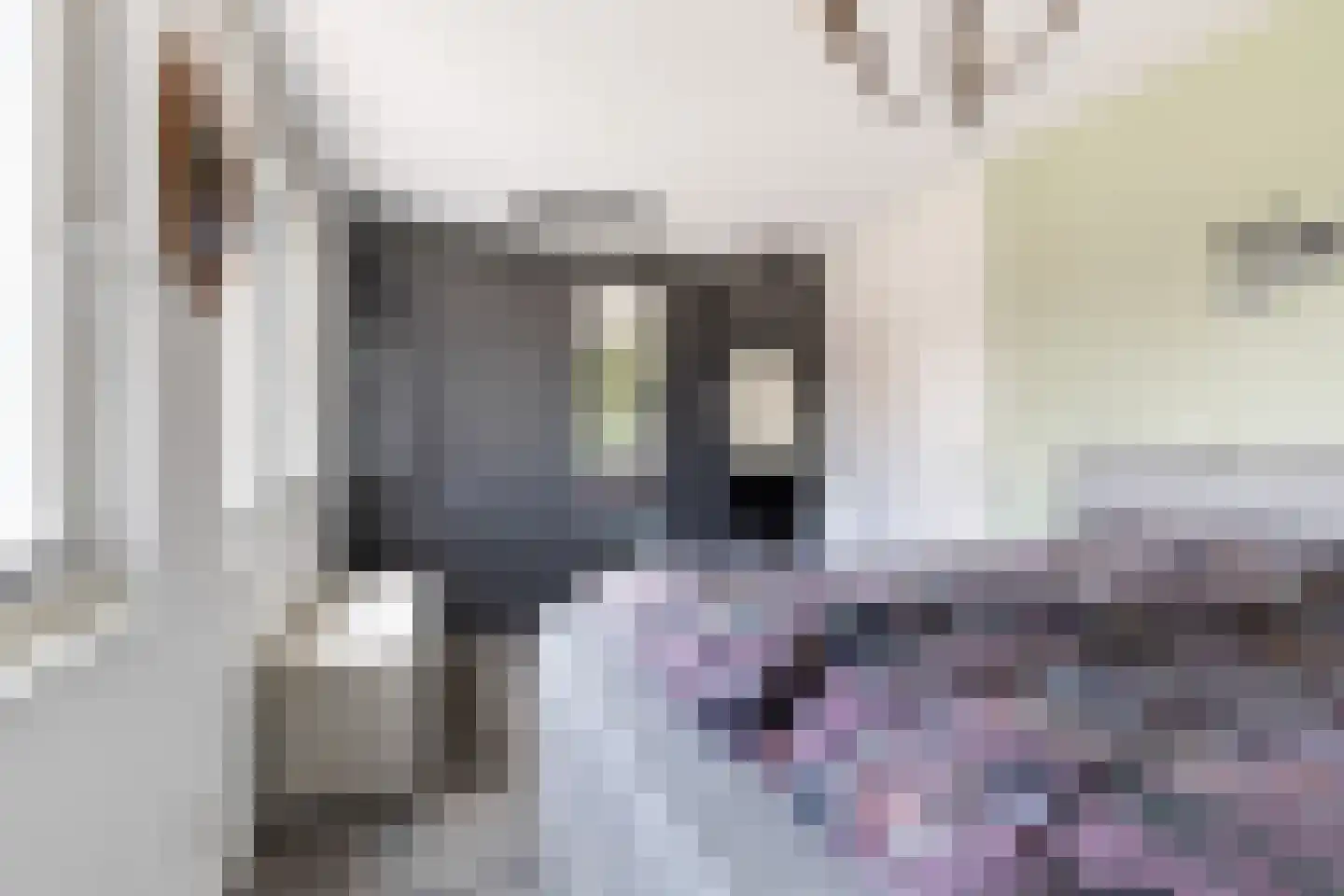 Pieter Lieftinckstraat 1 Woerden thumbnail 13