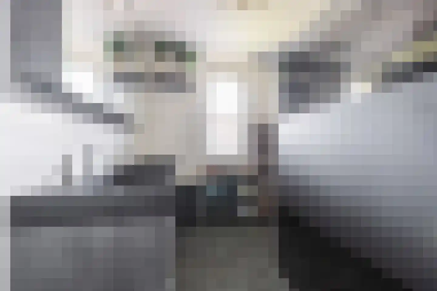 Pieter Lieftinckstraat 1 Woerden thumbnail 15
