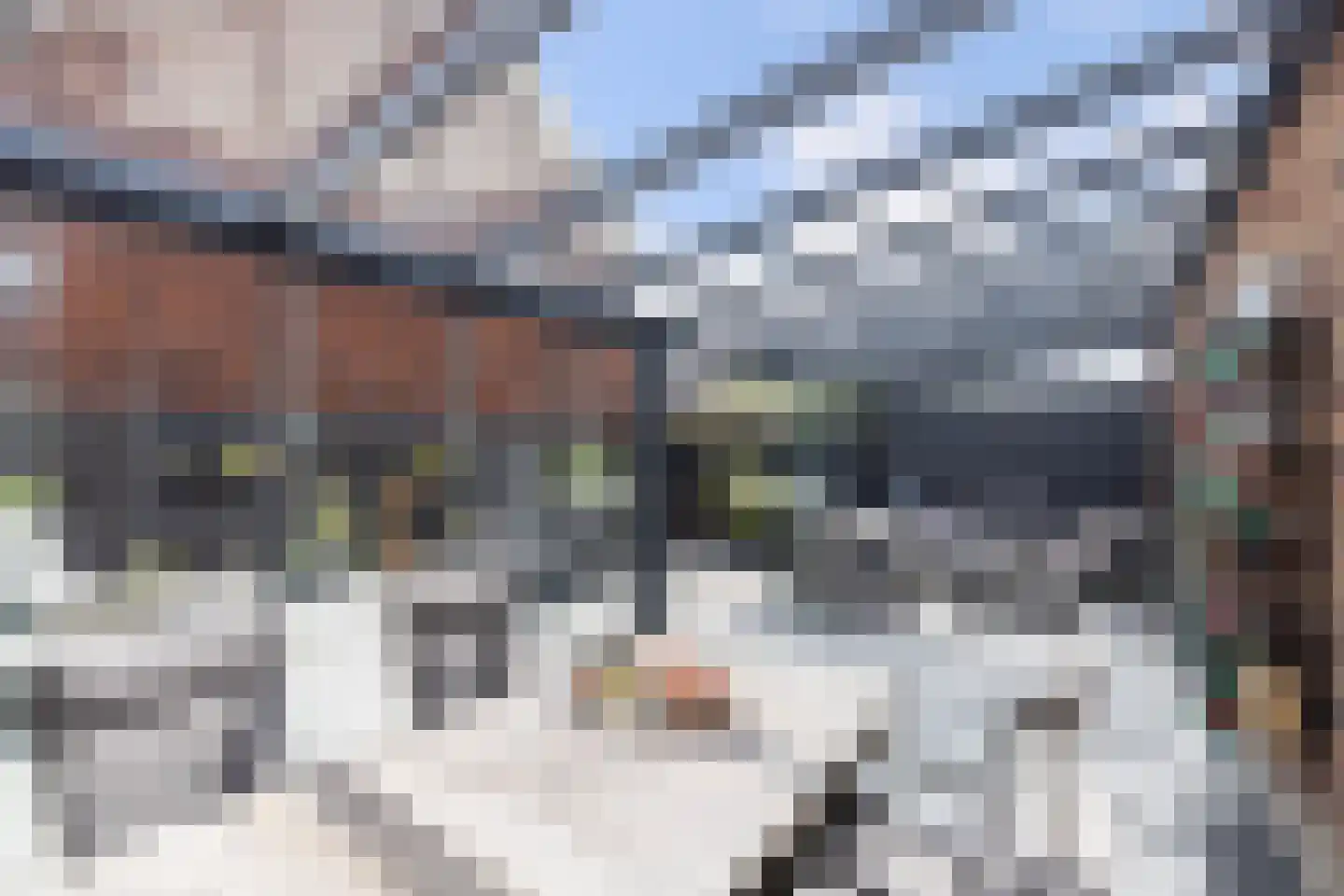 Pieter Lieftinckstraat 1 Woerden thumbnail 23
