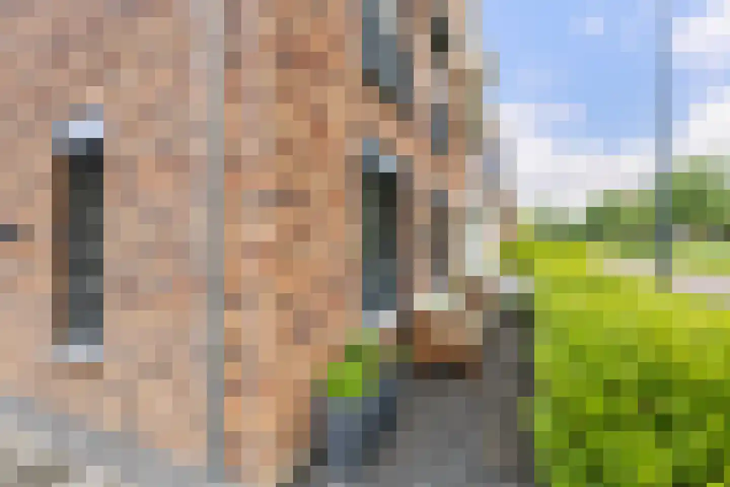 Pieter Lieftinckstraat 1 Woerden thumbnail 25