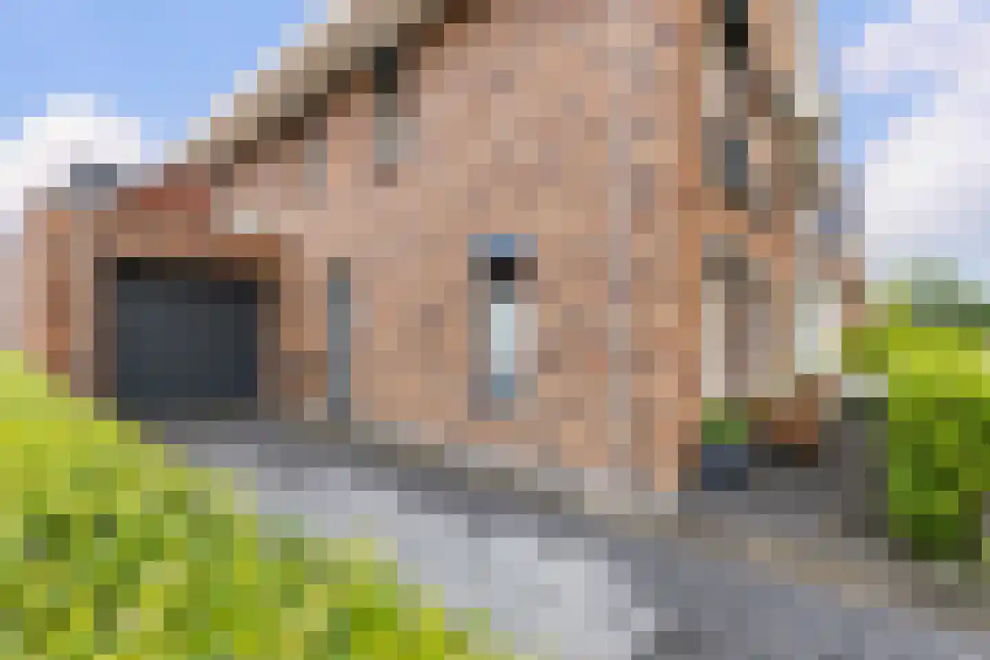 Pieter Lieftinckstraat 1 Woerden thumbnail 26