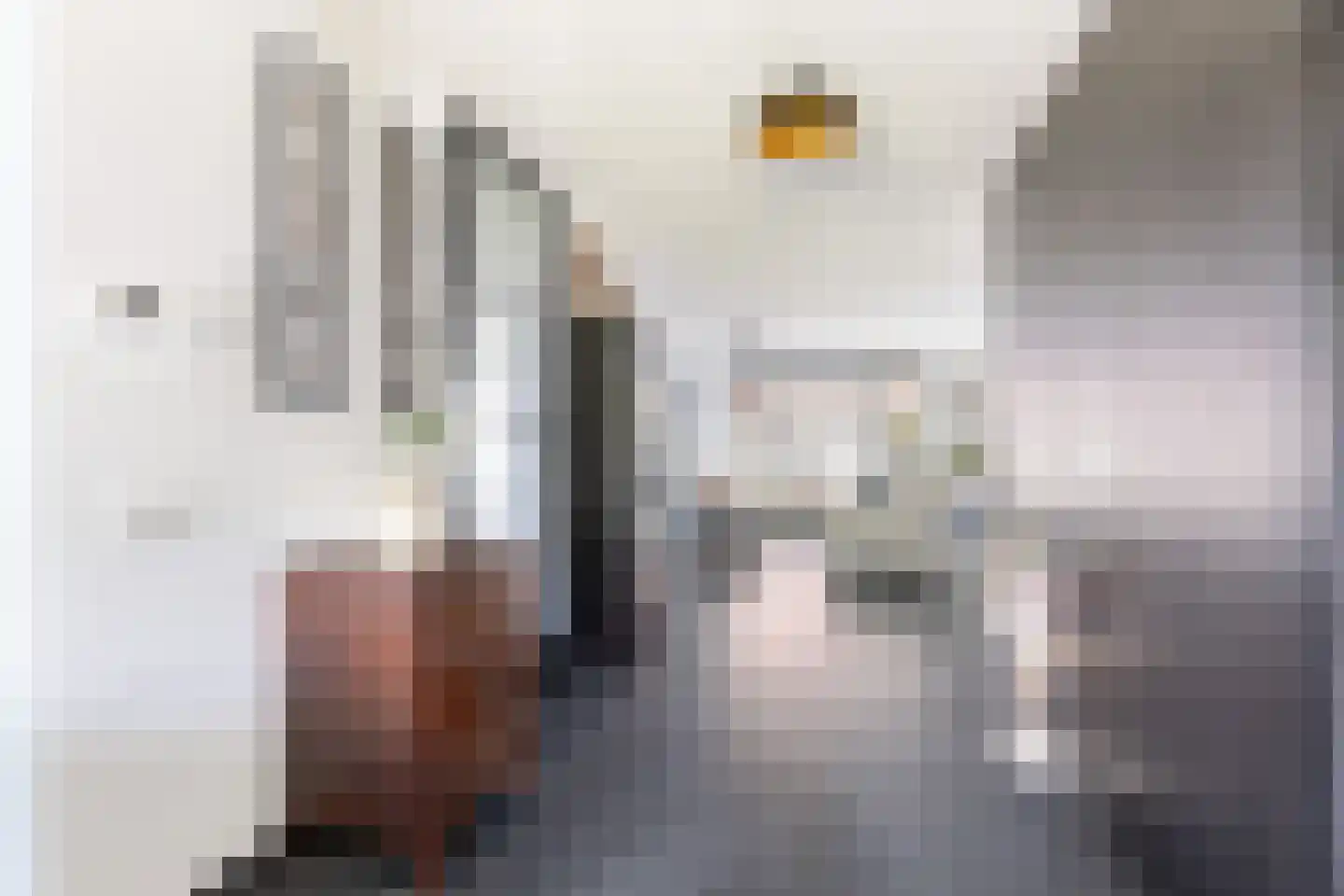 Pieter Lieftinckstraat 1 Woerden thumbnail 5
