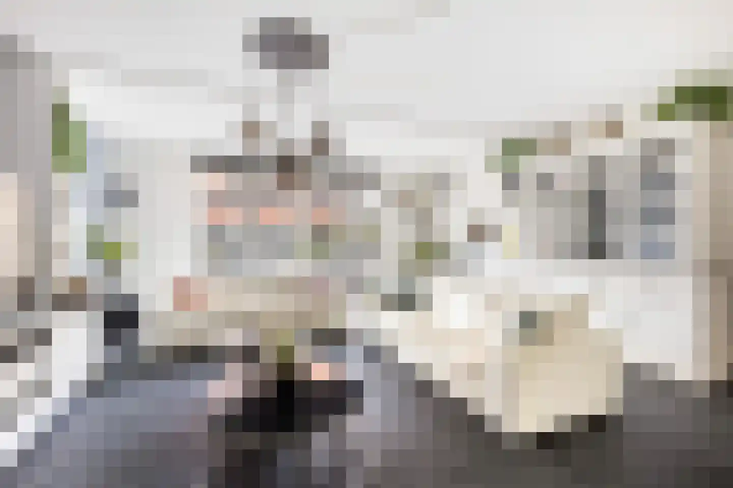 Pieter Lieftinckstraat 1 Woerden thumbnail 6