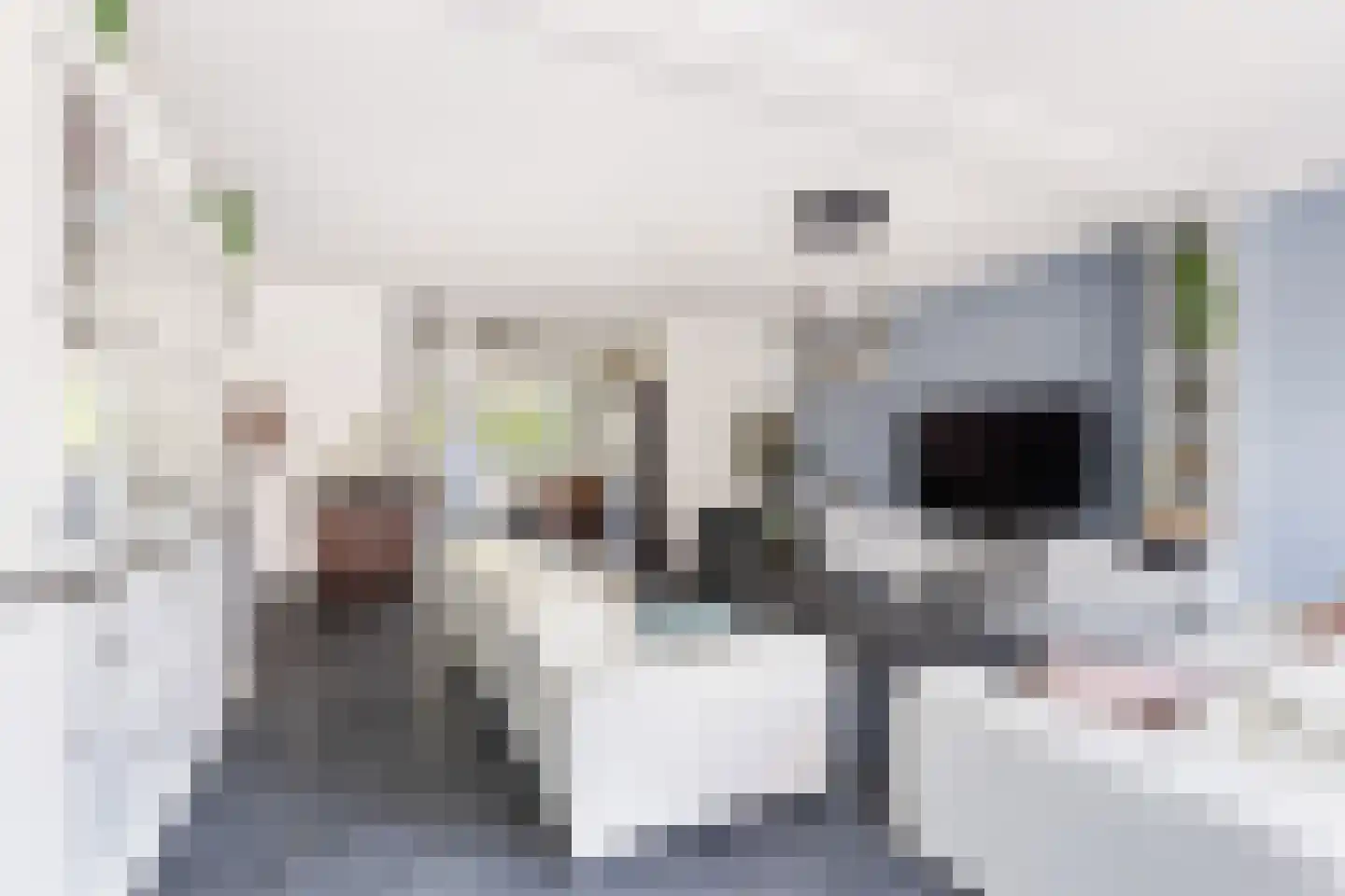 Pieter Lieftinckstraat 1 Woerden thumbnail 7