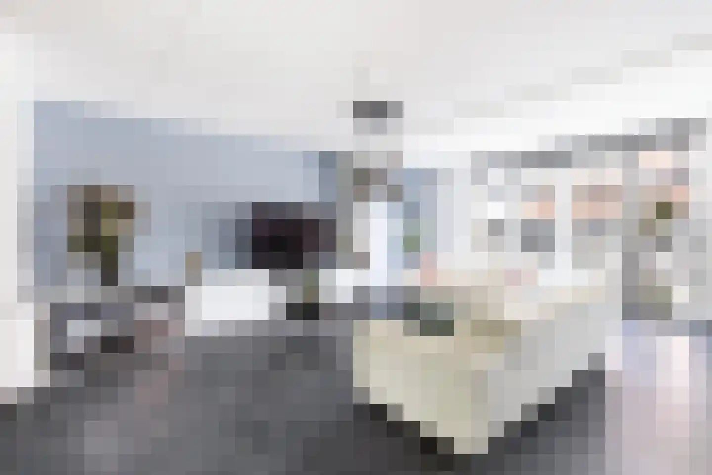 Pieter Lieftinckstraat 1 Woerden thumbnail 8