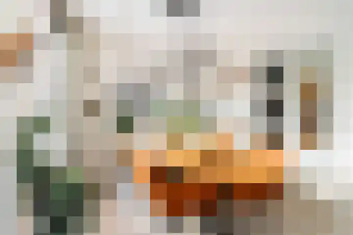Pieter Lieftinckstraat 15 Woerden thumbnail 12