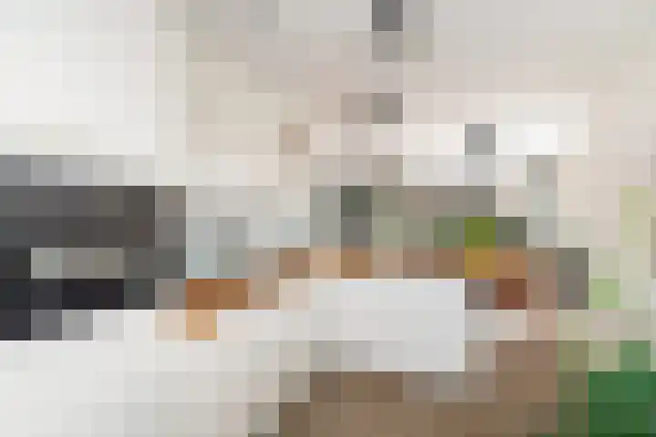 Pieter Lieftinckstraat 15 Woerden thumbnail 14