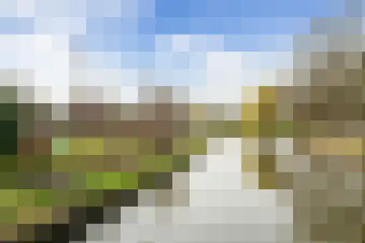 Pieter Lieftinckstraat 15 Woerden thumbnail 38