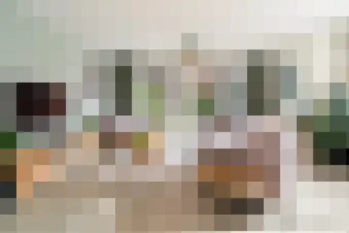 Pieter Lieftinckstraat 15 Woerden thumbnail 7