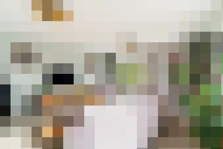 Pieter Lieftinckstraat 15 Woerden thumbnail 8