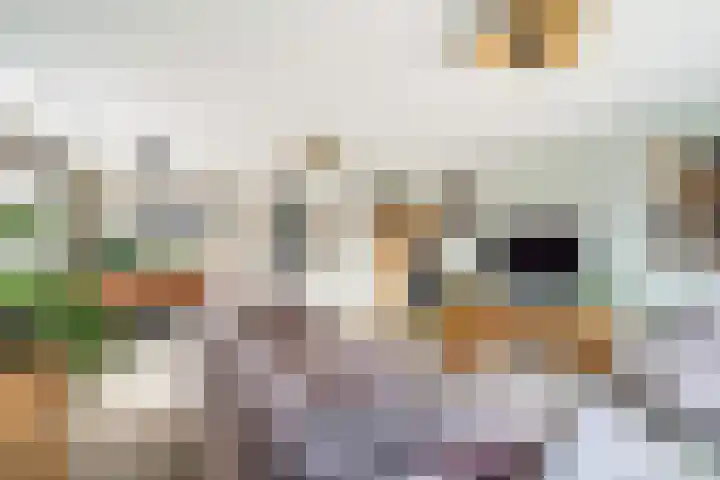 Pieter Lieftinckstraat 15 Woerden thumbnail 9