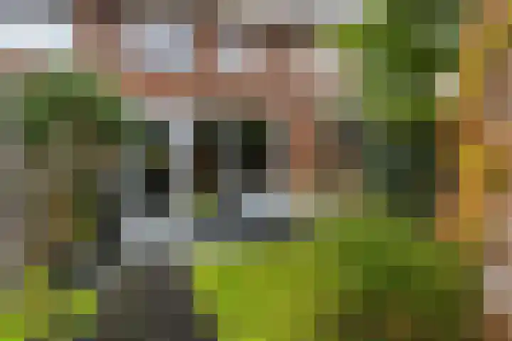 Pieter Lieftinckstraat 39 Woerden thumbnail 45